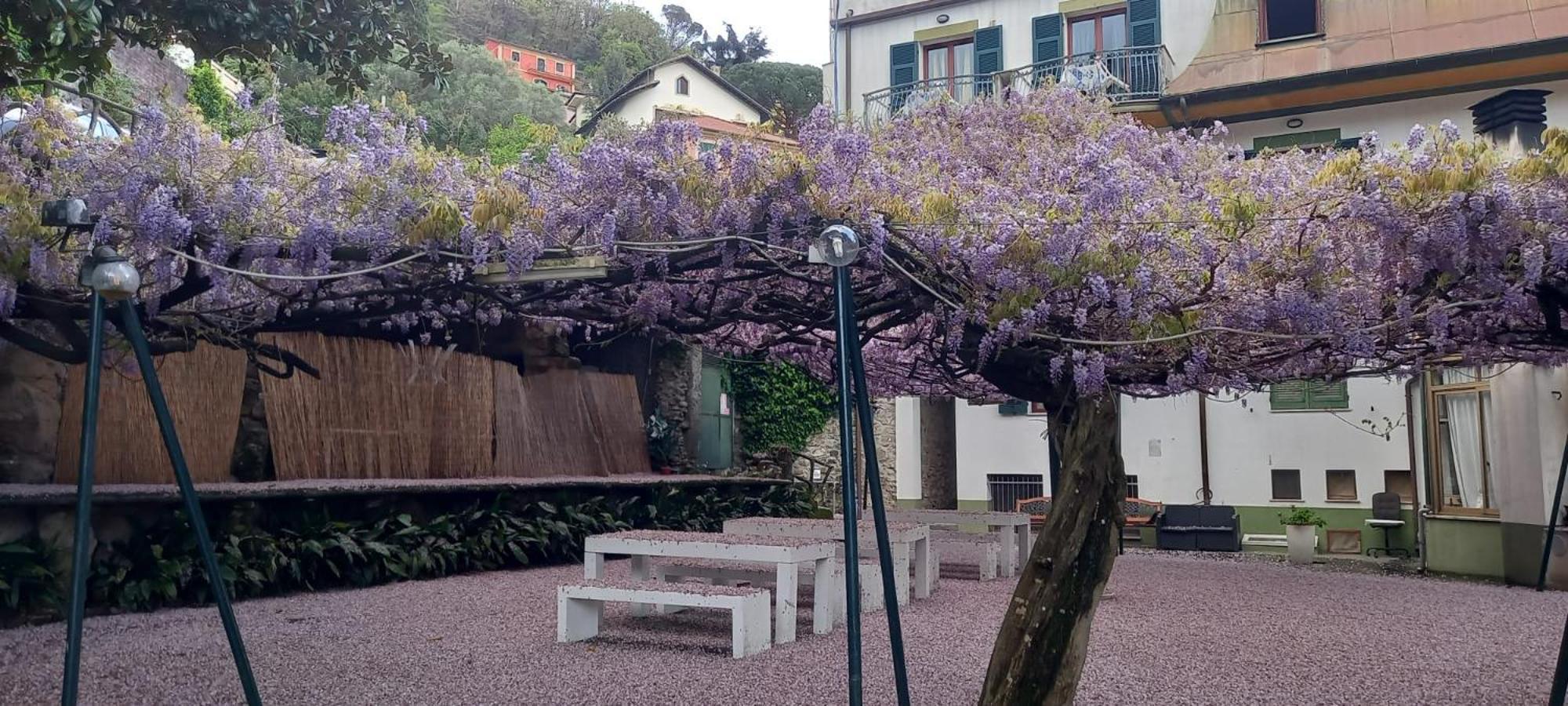 Hotel Residence Moneglia Zewnętrze zdjęcie